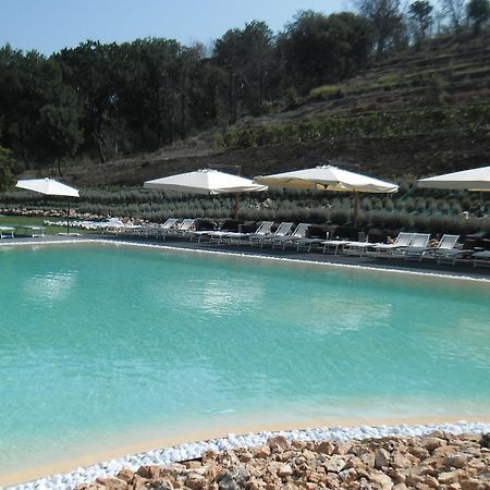 Agriturismo San Martino Поццуолі Екстер'єр фото