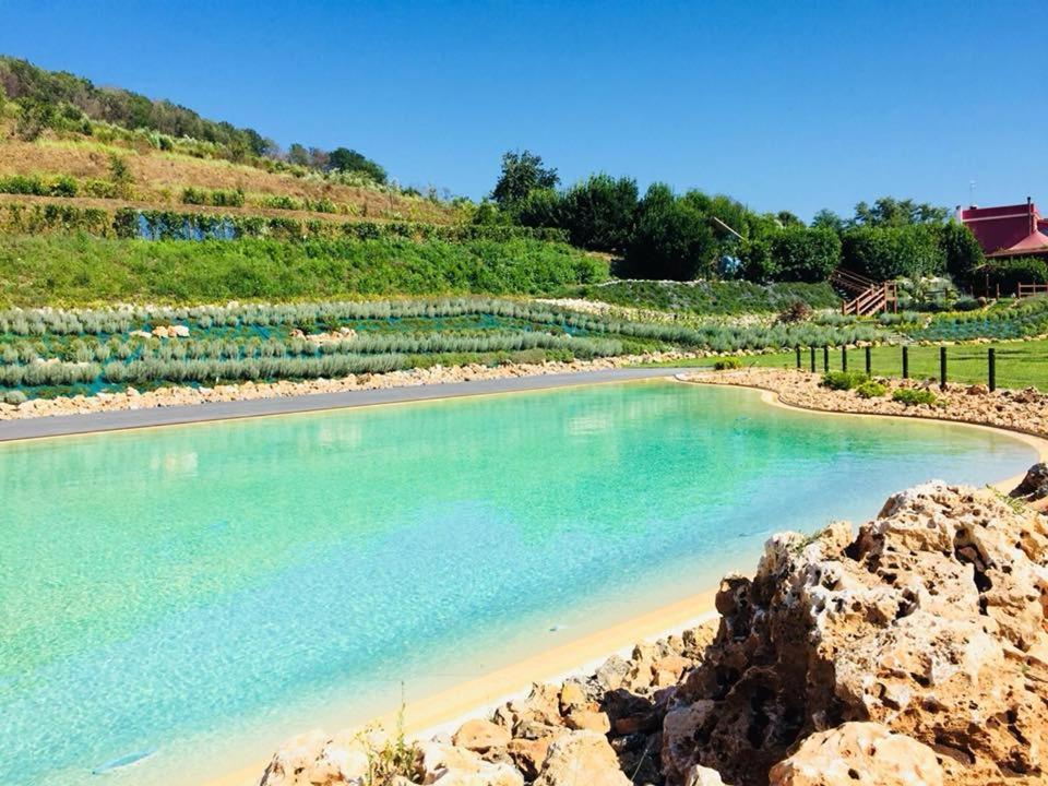 Agriturismo San Martino Поццуолі Екстер'єр фото